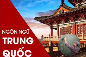 Ai phù hợp với Ngành Ngôn ngữ và Văn hoá Trung Quốc?