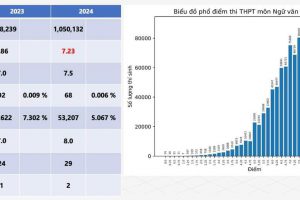 Kết quả thi tốt nghiệp THPT năm 2024: Môn Toán không có điểm 10