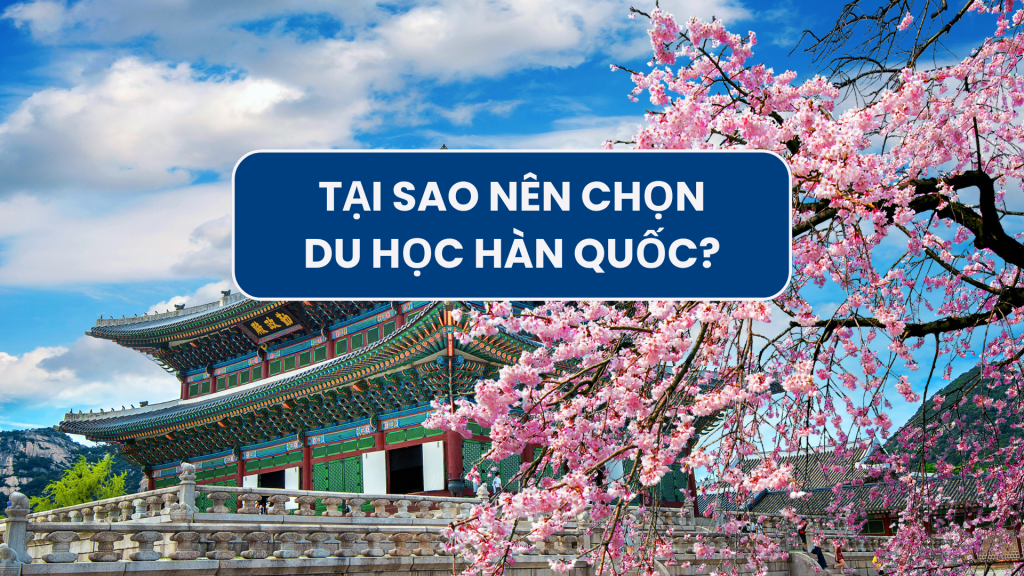 Tại sao nên lựa chọn Du Học Hàn Quốc Tại sao nên lựa chọn Du Học Hàn Quốc