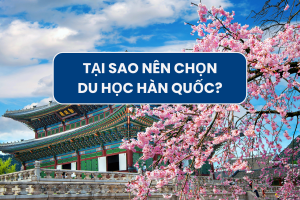 Tuyển sinh du học Hàn quốc 2025 – Cao đẳng bách khoa Việt Nam